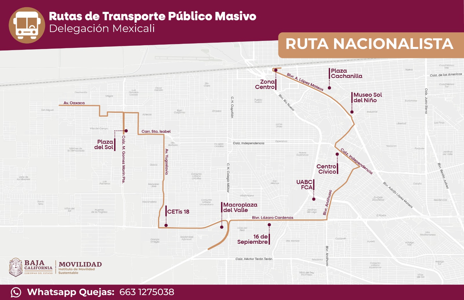 WhatsApp Image 2025-03-01 at 4.59.35 PM