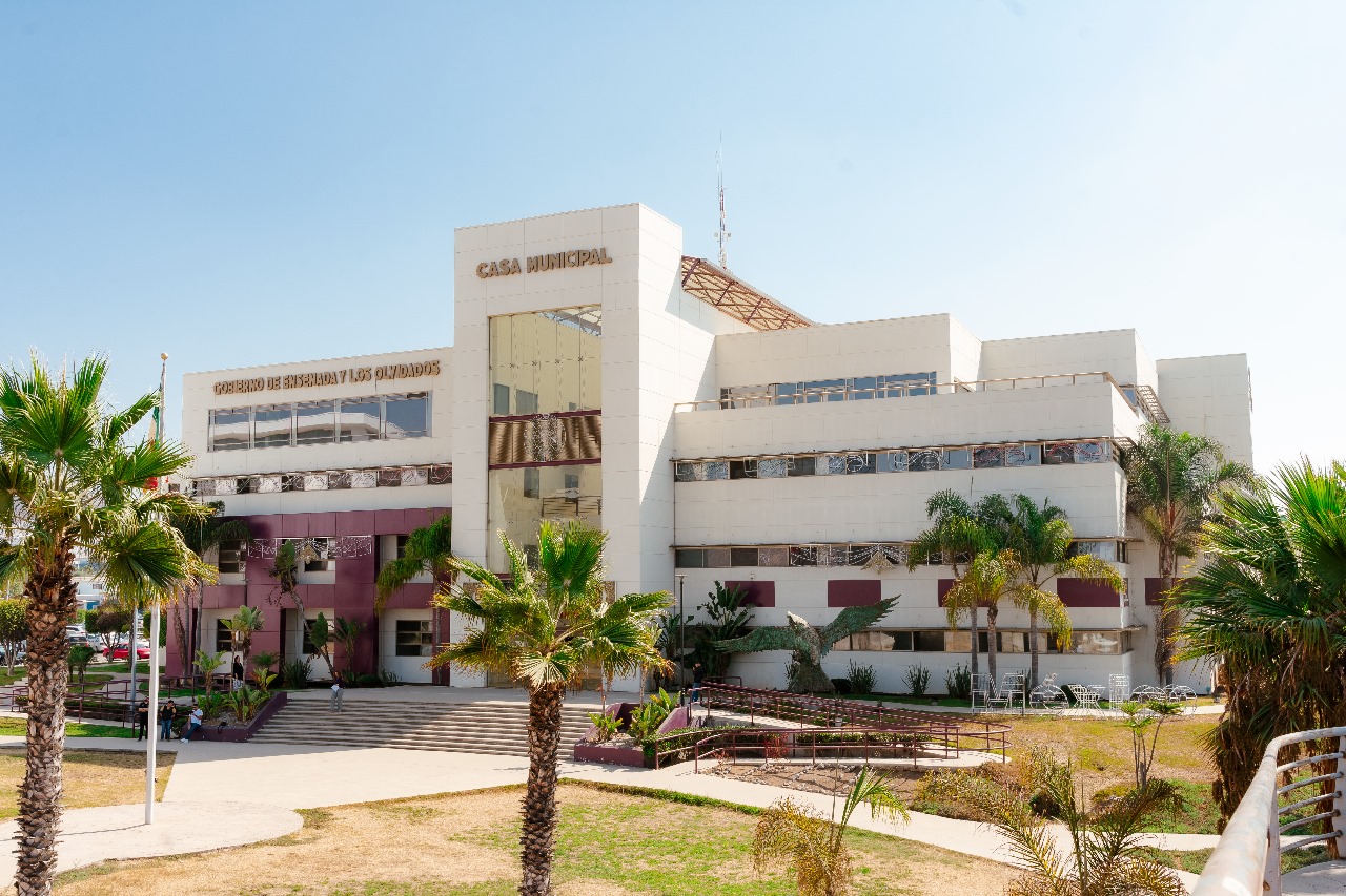 WhatsApp Image 2025-03-04 at 5.02.51 AM