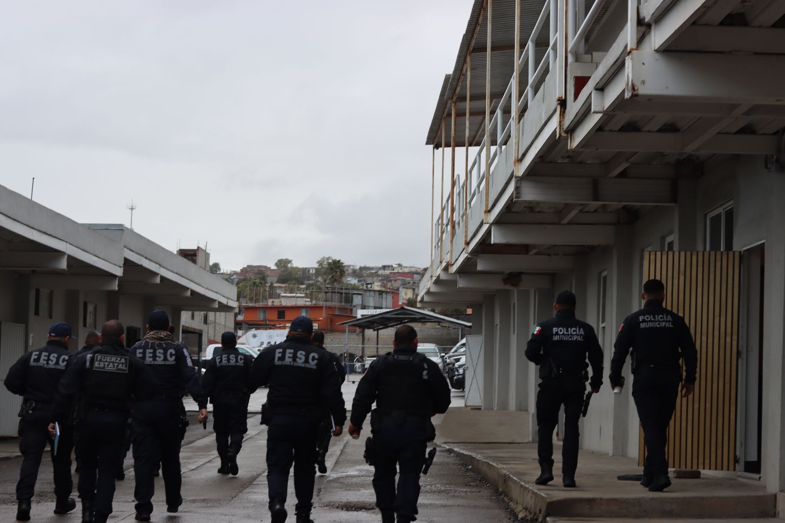 WhatsApp Image 2025-03-06 at 6.18.48 PM (1)