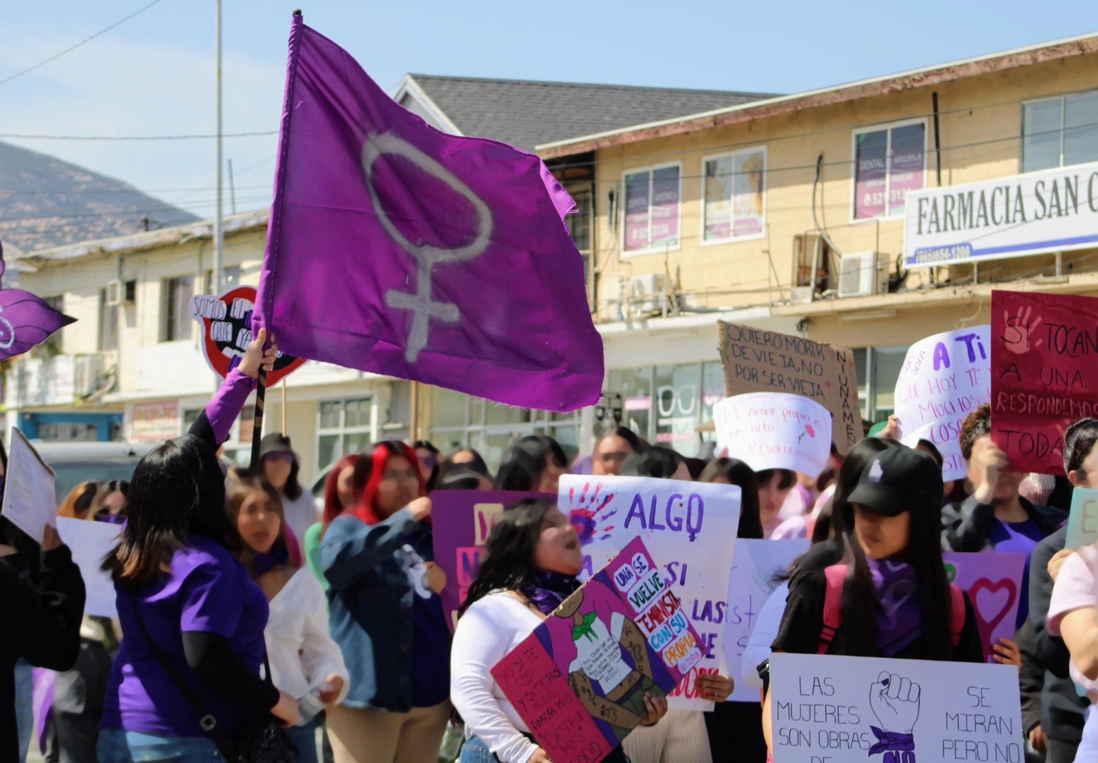 WhatsApp Image 2025-03-07 at 3.43.13 PM (1)