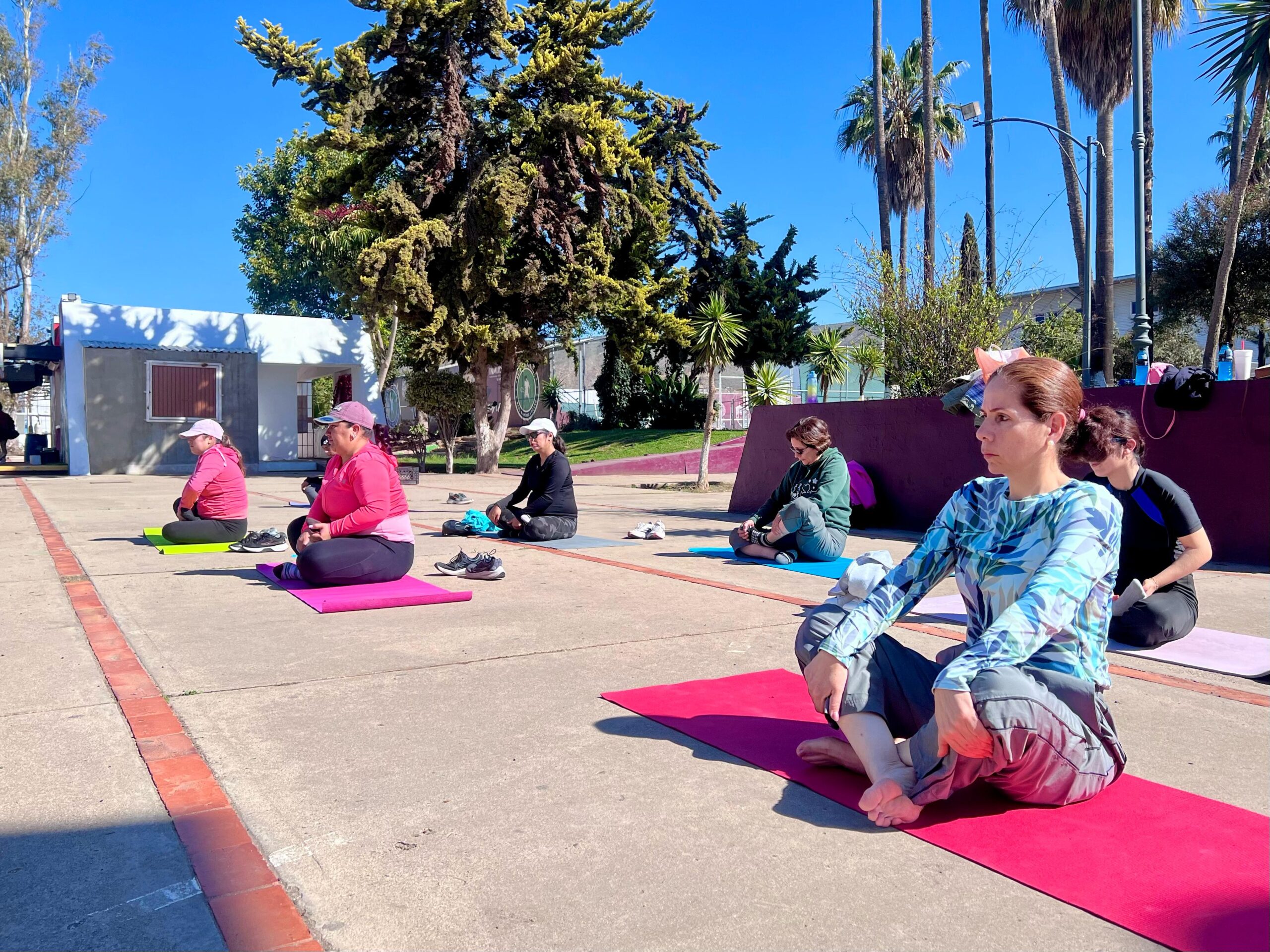 WhatsApp Image 2025-03-08 at 4.13.06 PM