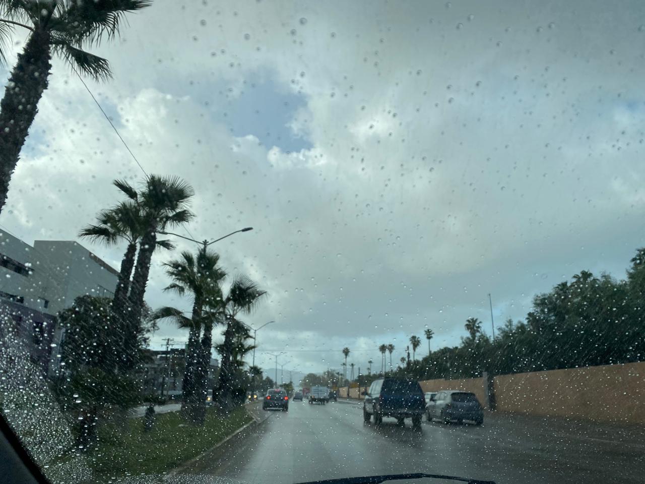 WhatsApp Image 2025-03-09 at 12.50.53 PM (1)