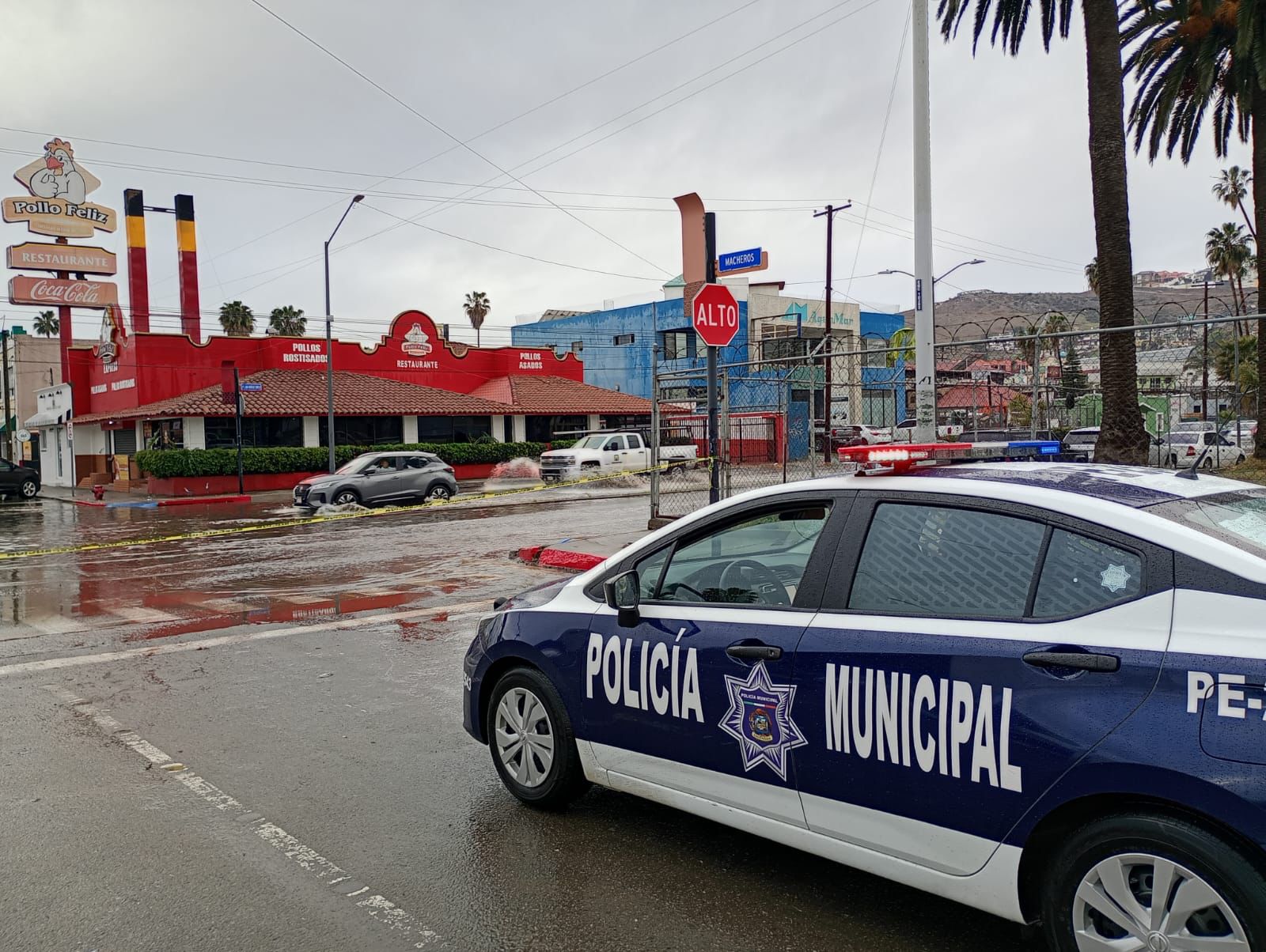 WhatsApp Image 2025-03-11 at 12.37.45 PM