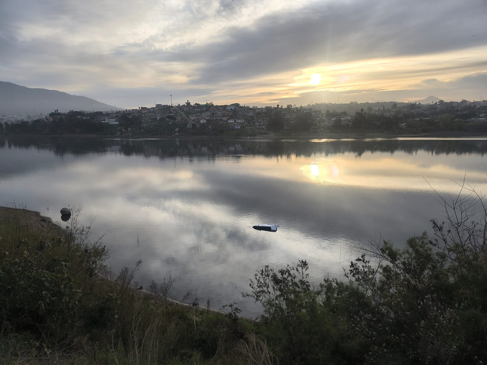 WhatsApp Image 2025-03-17 at 11.52.59 AM