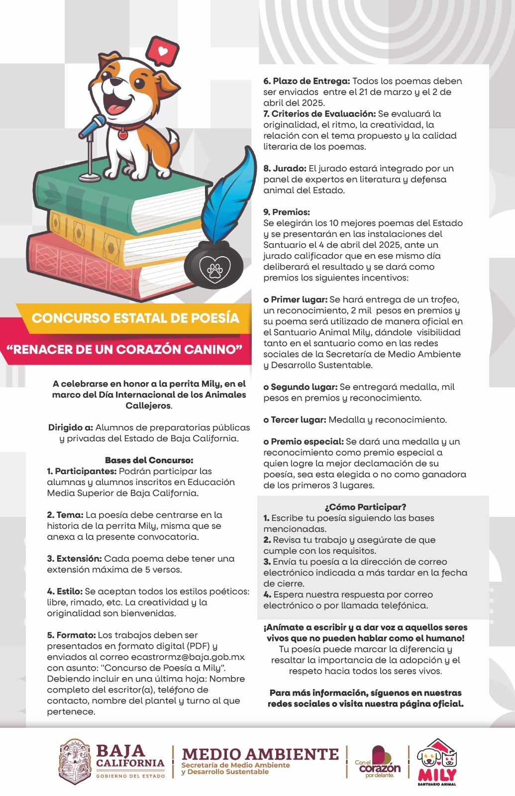 WhatsApp Image 2025-03-21 at 6.26.02 PM