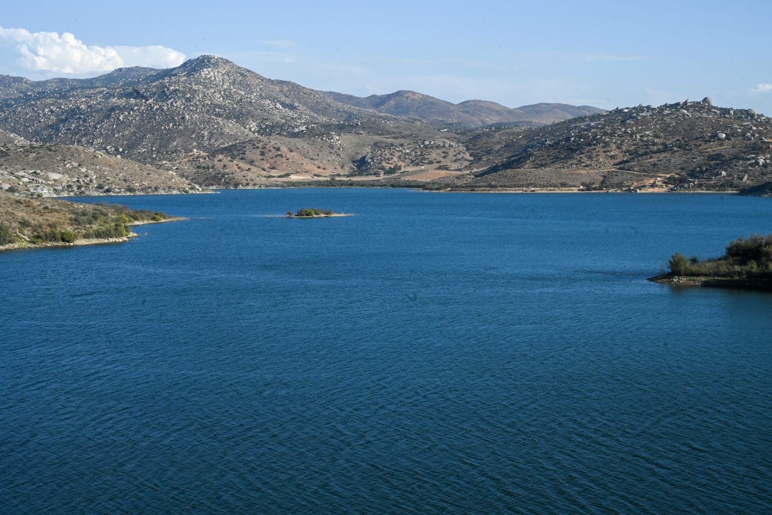 WhatsApp Image 2025-03-21 at 6.41.13 PM