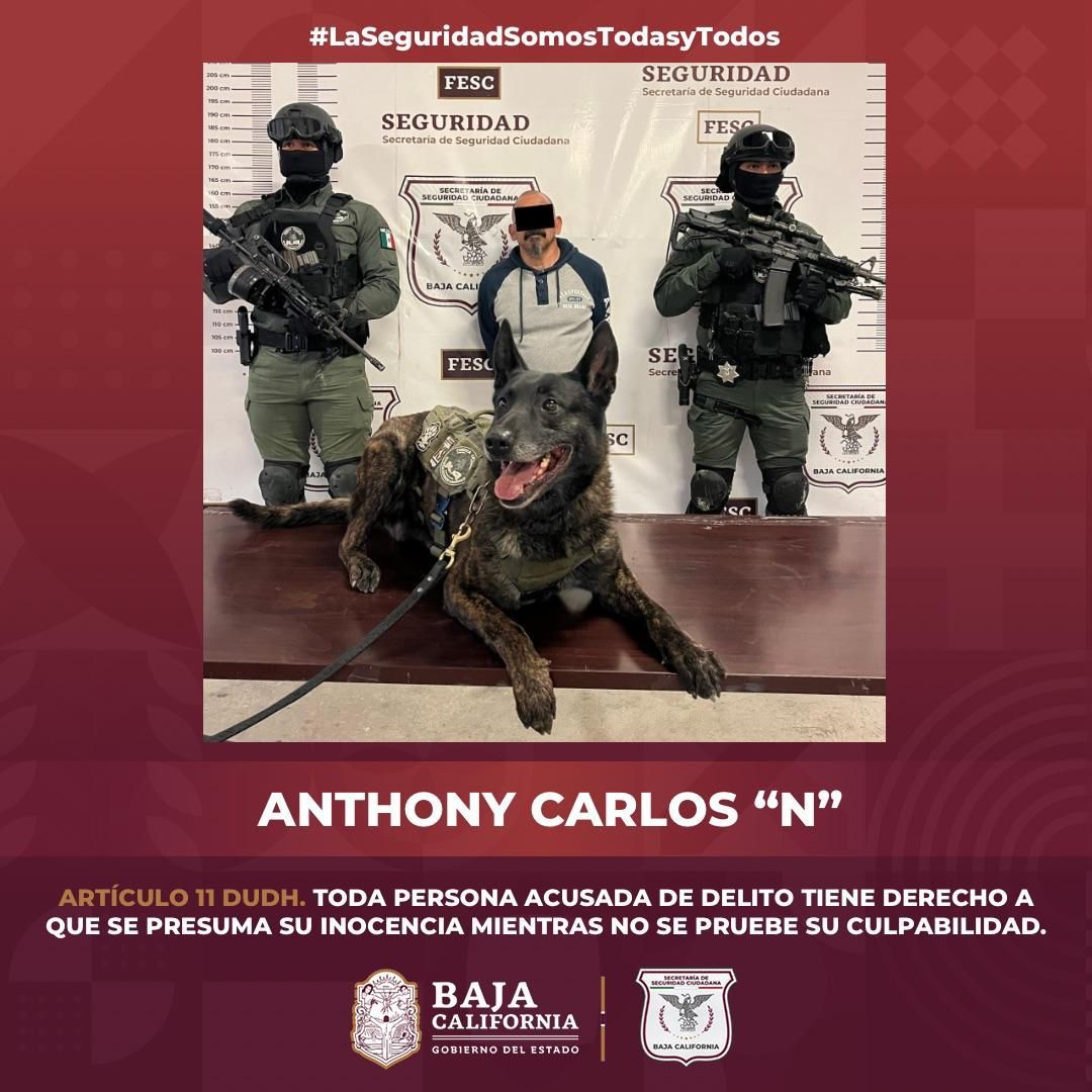 WhatsApp Image 2025-03-21 at 9.23.00 AM