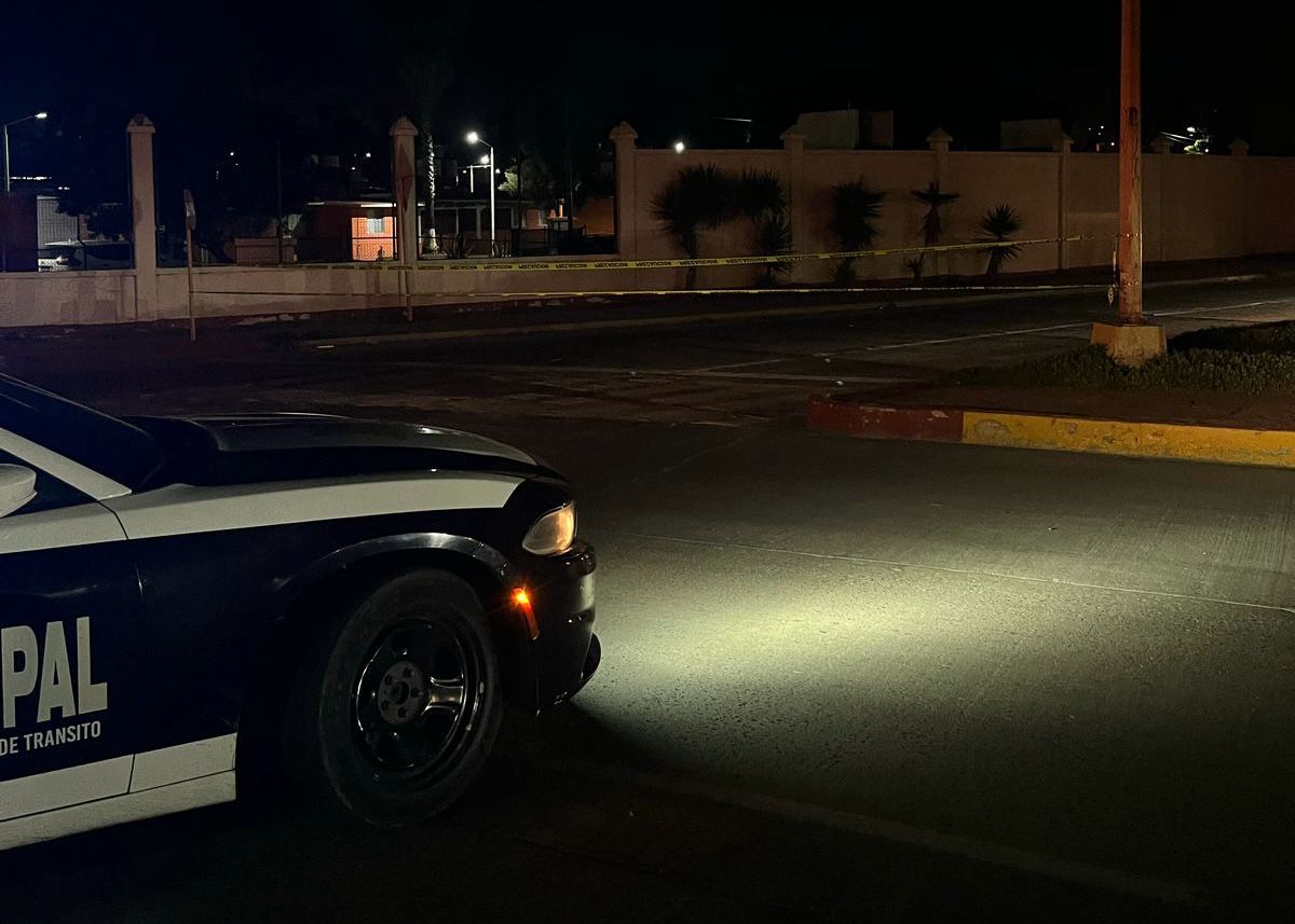 WhatsApp Image 2025-03-22 at 12.31.53 PM