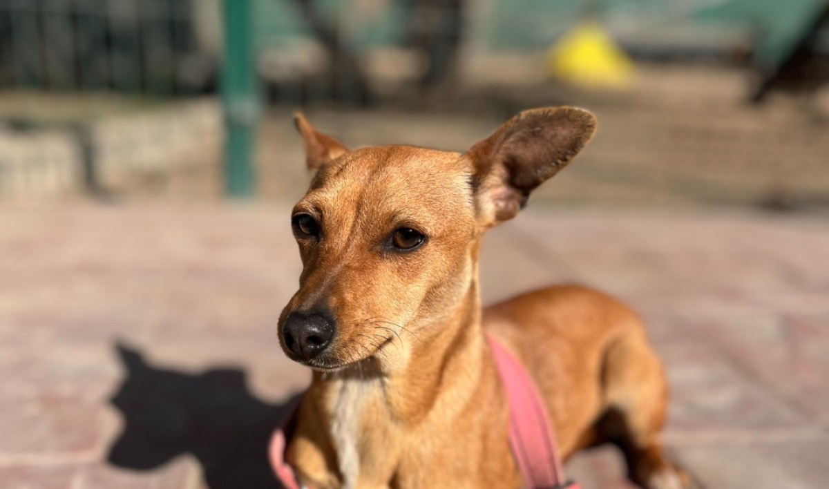 WhatsApp Image 2025-03-24 at 1.30.51 PM