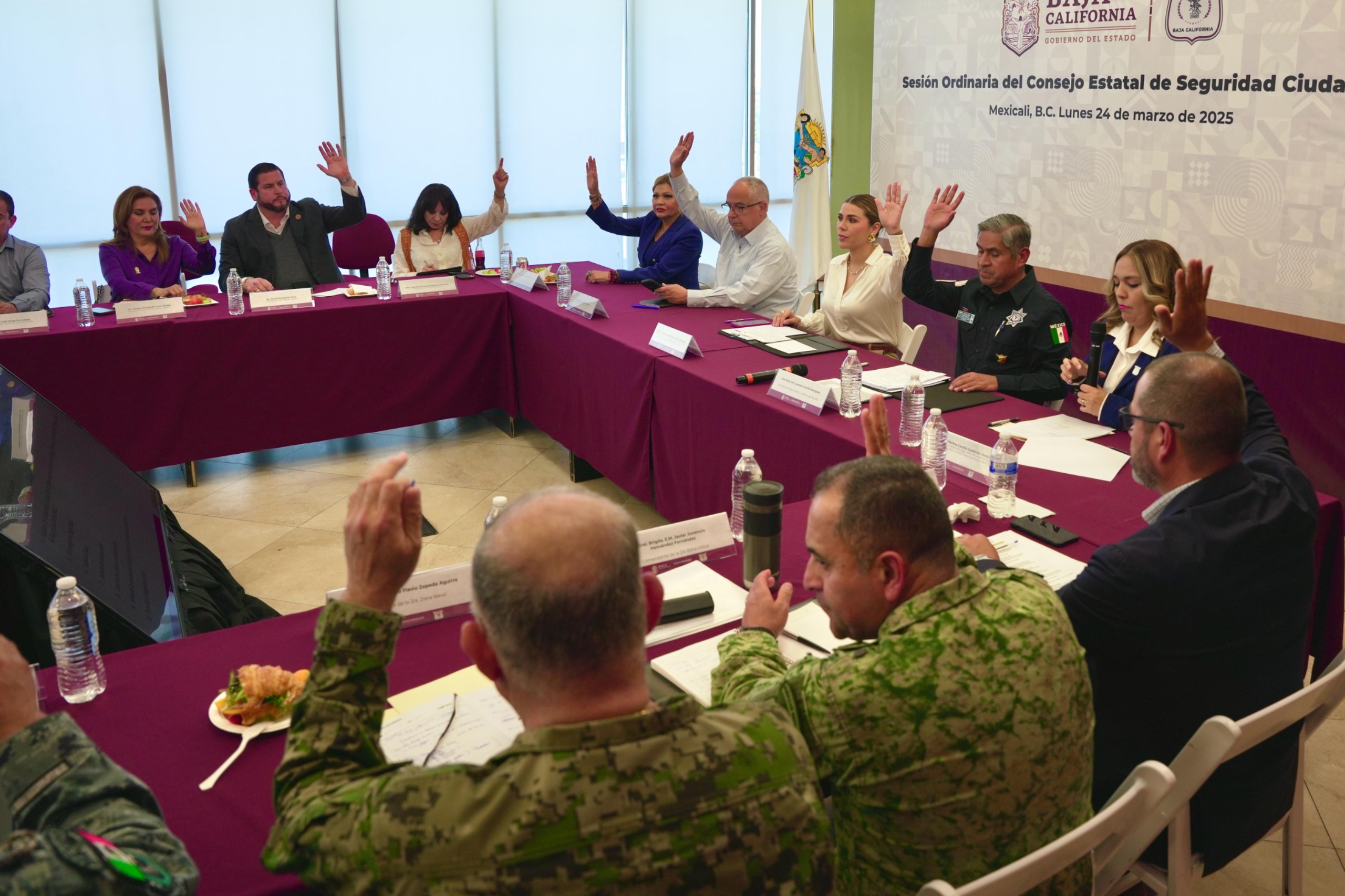 WhatsApp Image 2025-03-24 at 6.11.49 PM