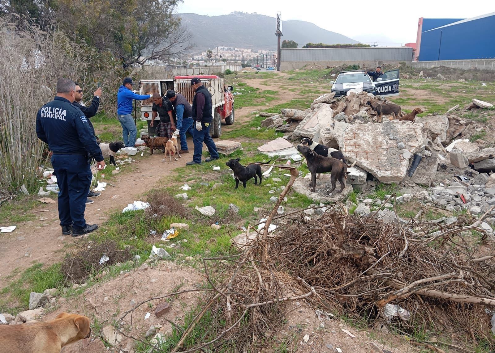 WhatsApp Image 2025-03-25 at 4.45.53 PM (2)