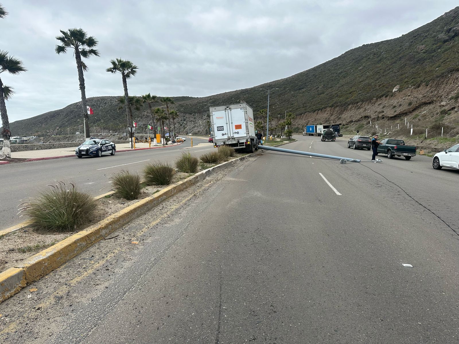 WhatsApp Image 2025-03-26 at 4.44.46 PM (2)