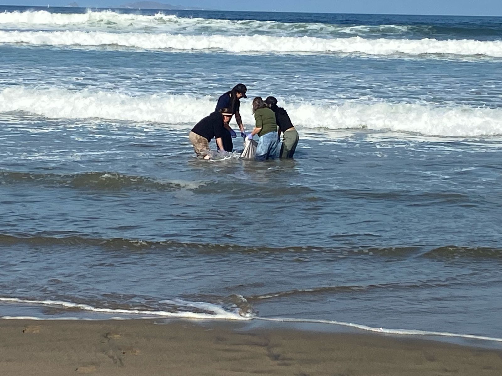 WhatsApp Image 2025-03-27 at 1.02.51 PM (1)