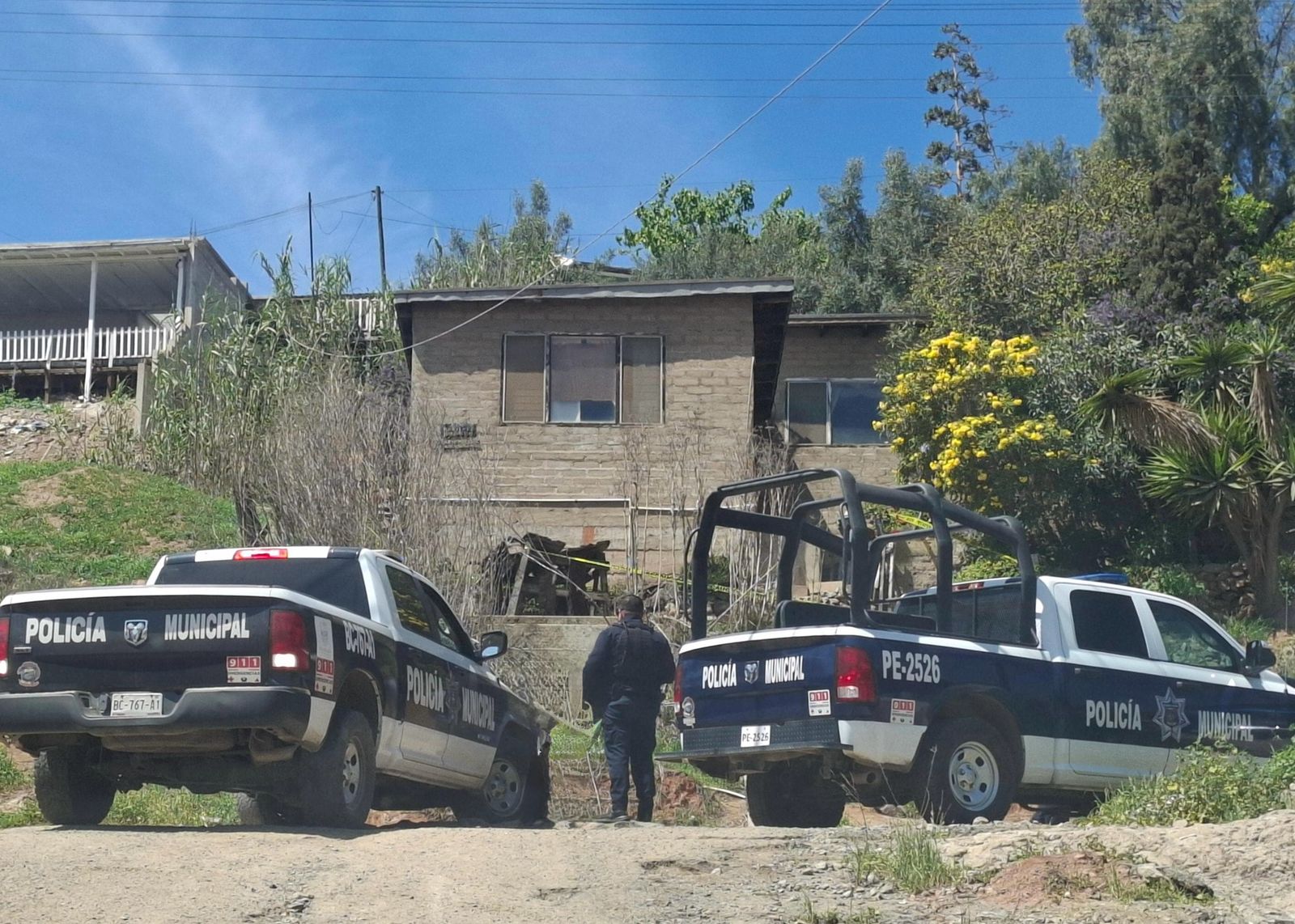 WhatsApp Image 2025-03-27 at 1.14.33 PM