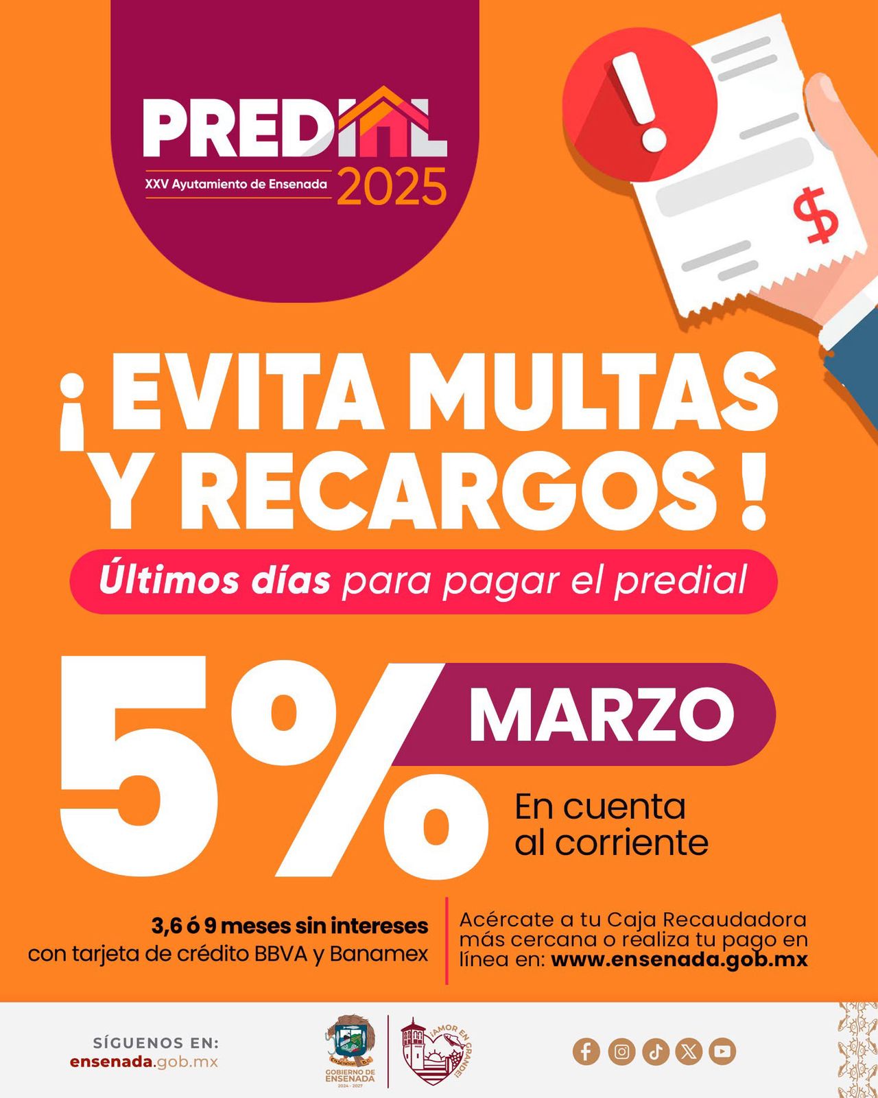 WhatsApp Image 2025-03-30 at 12.01.46 PM (1)