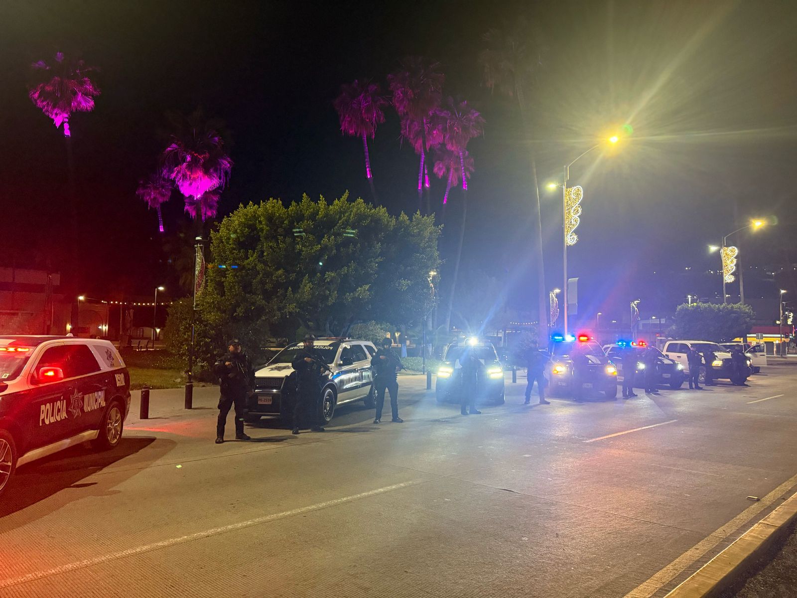 WhatsApp Image 2025-03-31 at 11.19.06 AM