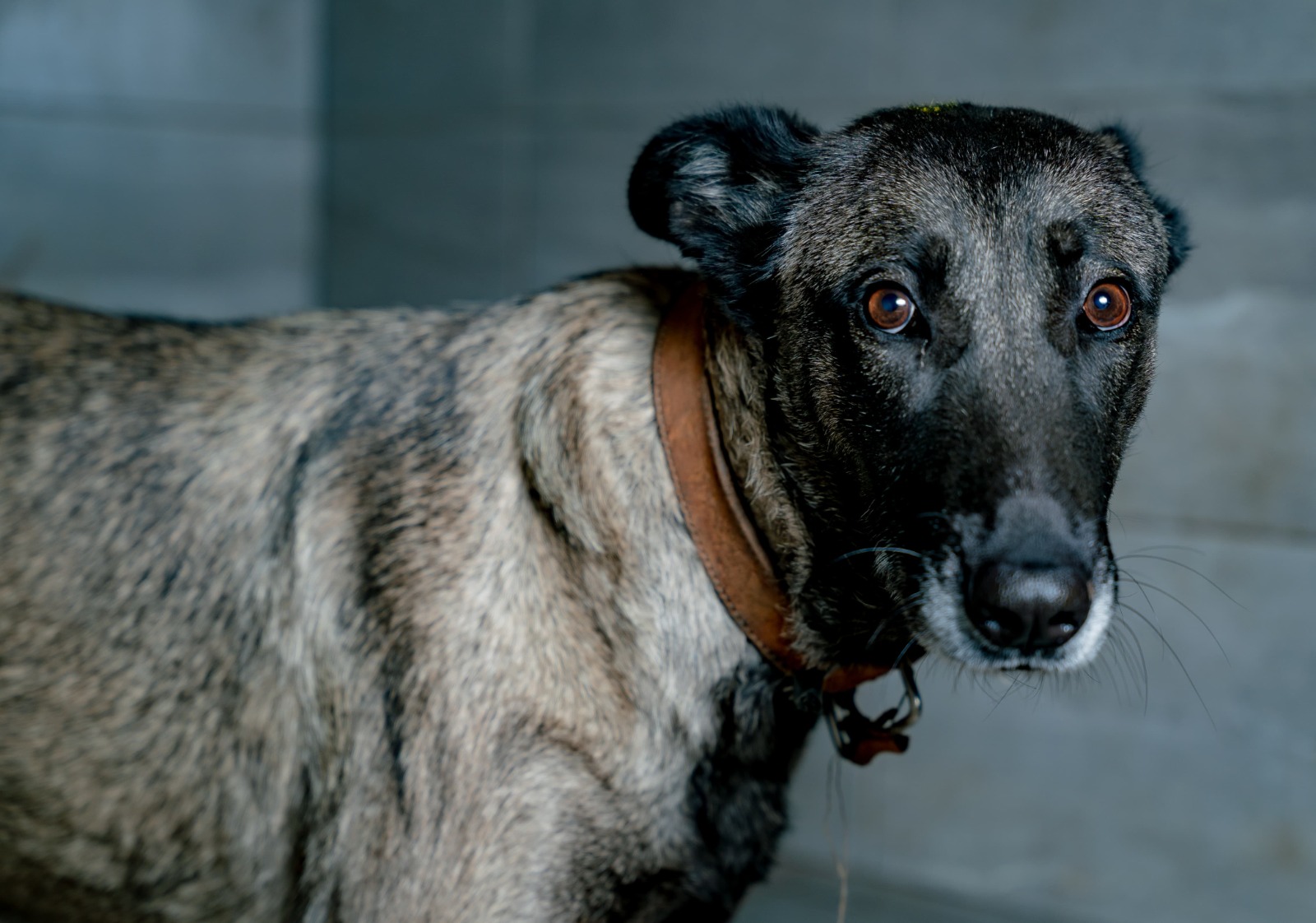 WhatsApp Image 2025-04-02 at 4.31.44 PM