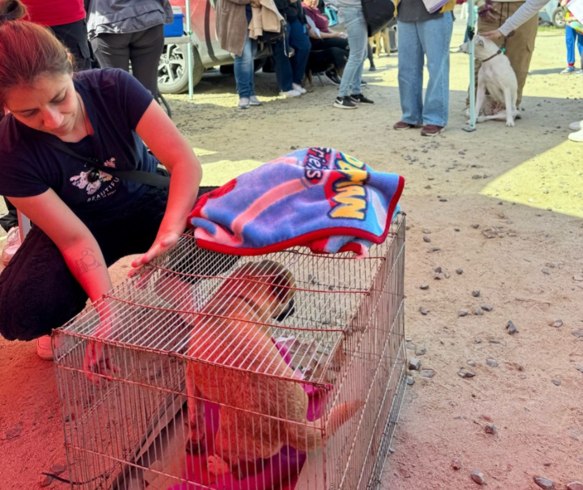 WhatsApp Image 2025-04-03 at 1.09.32 PM (1)