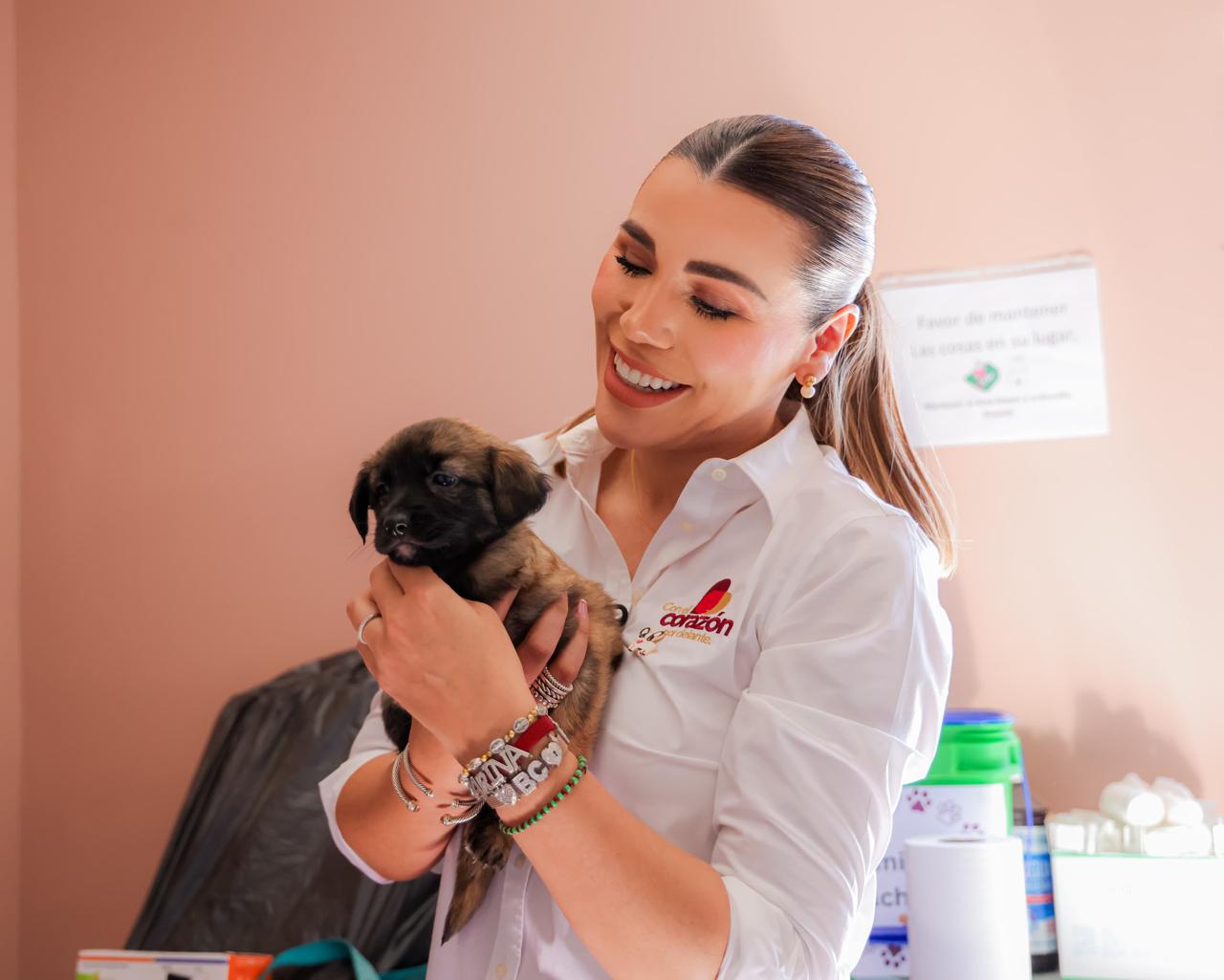 WhatsApp Image 2025-04-05 at 7.59.51 PM