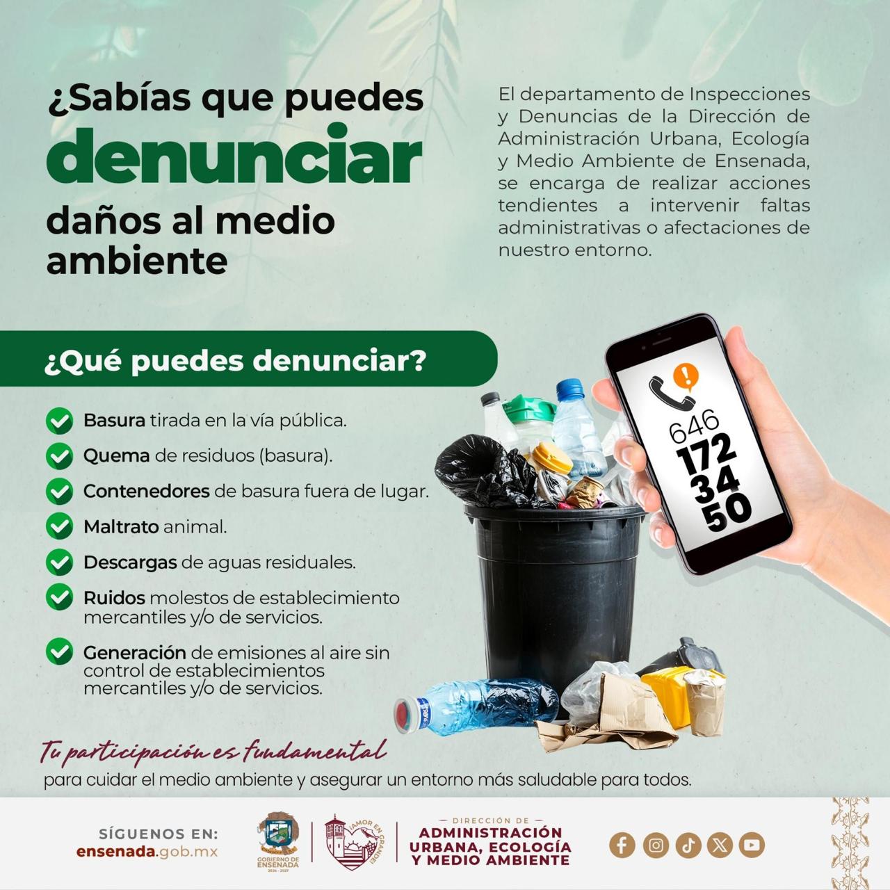 WhatsApp Image 2025-04-06 at 12.51.07 PM