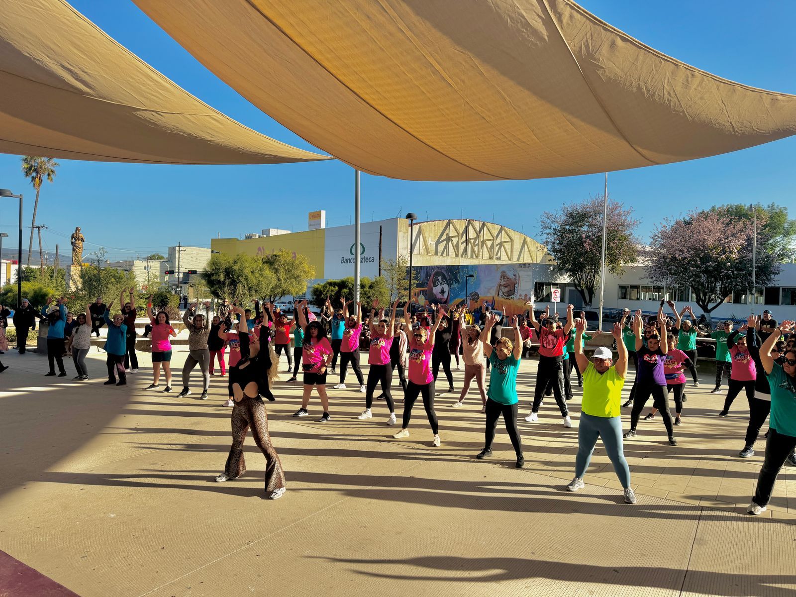 WhatsApp Image 2025-04-06 at 12.51.40 PM