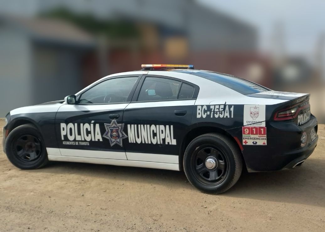 WhatsApp Image 2025-04-10 at 1.10.42 PM