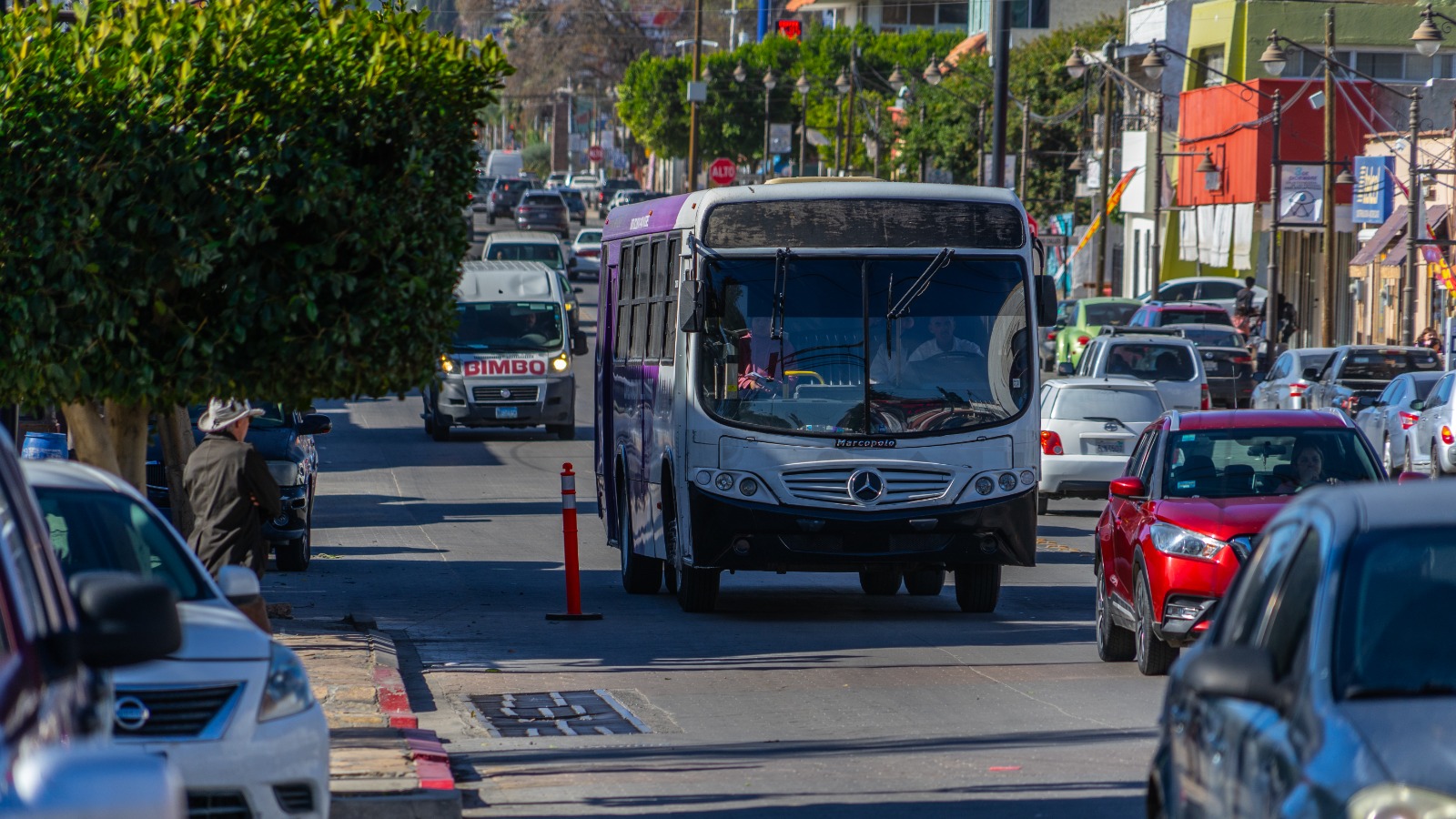 WhatsApp Image 2025-04-13 at 2.15.38 PM