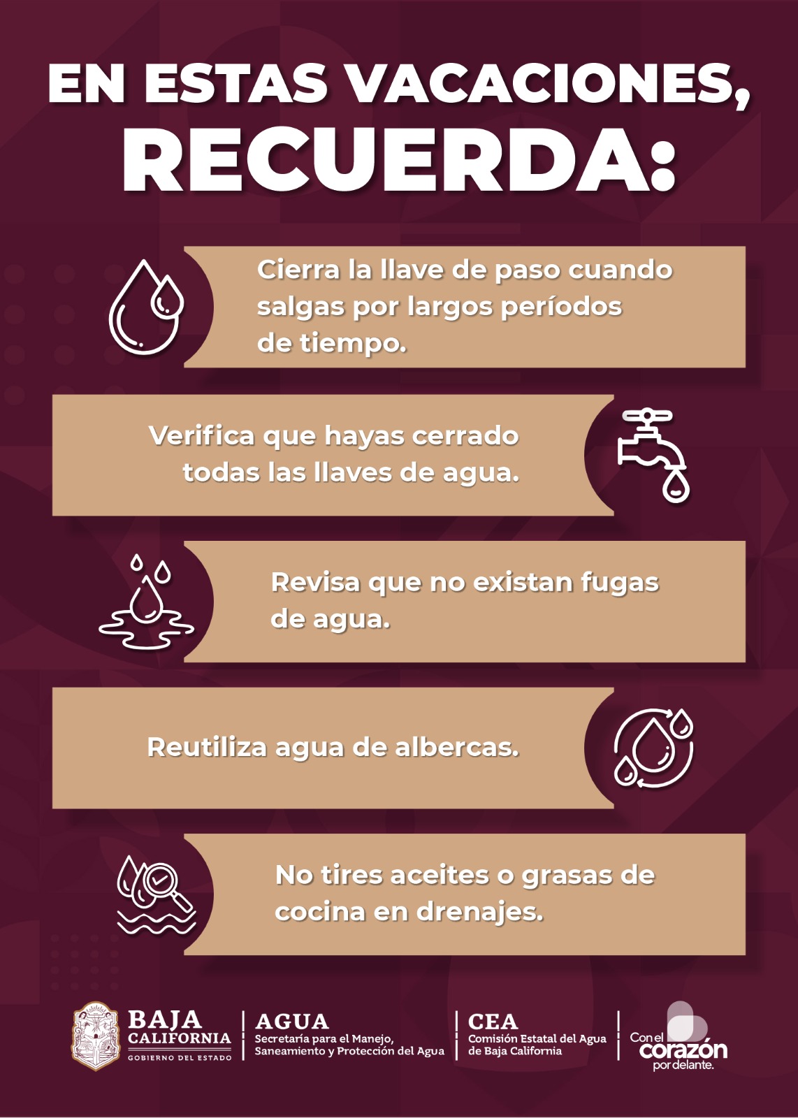 WhatsApp Image 2025-04-15 at 2.42.11 PM