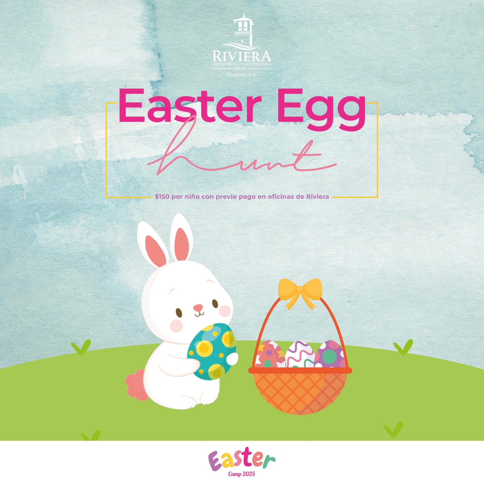 WhatsApp Image 2025-04-16 at 1.15.52 PM