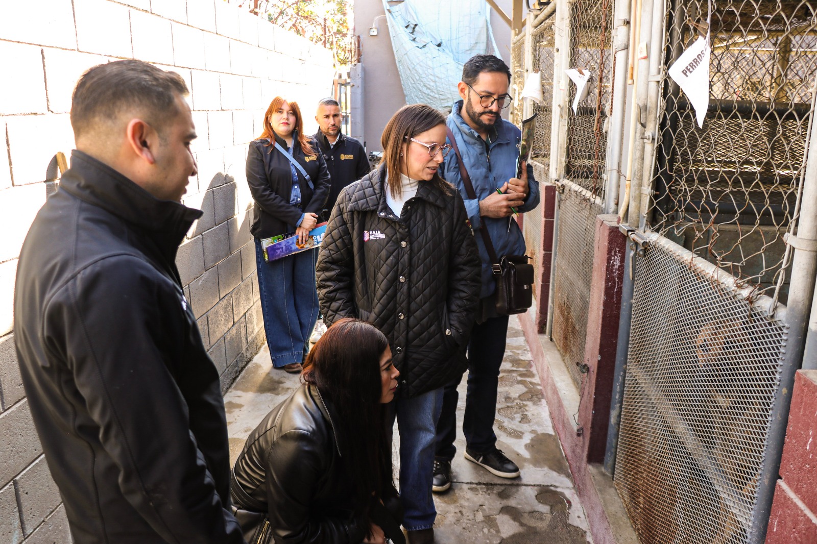 WhatsApp Image 2025-04-23 at 3.28.13 PM