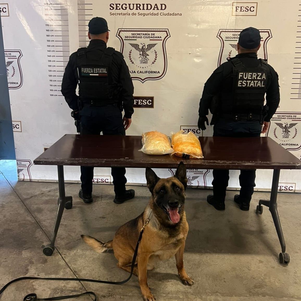 WhatsApp Image 2025-05-14 at 8.39.12 PM