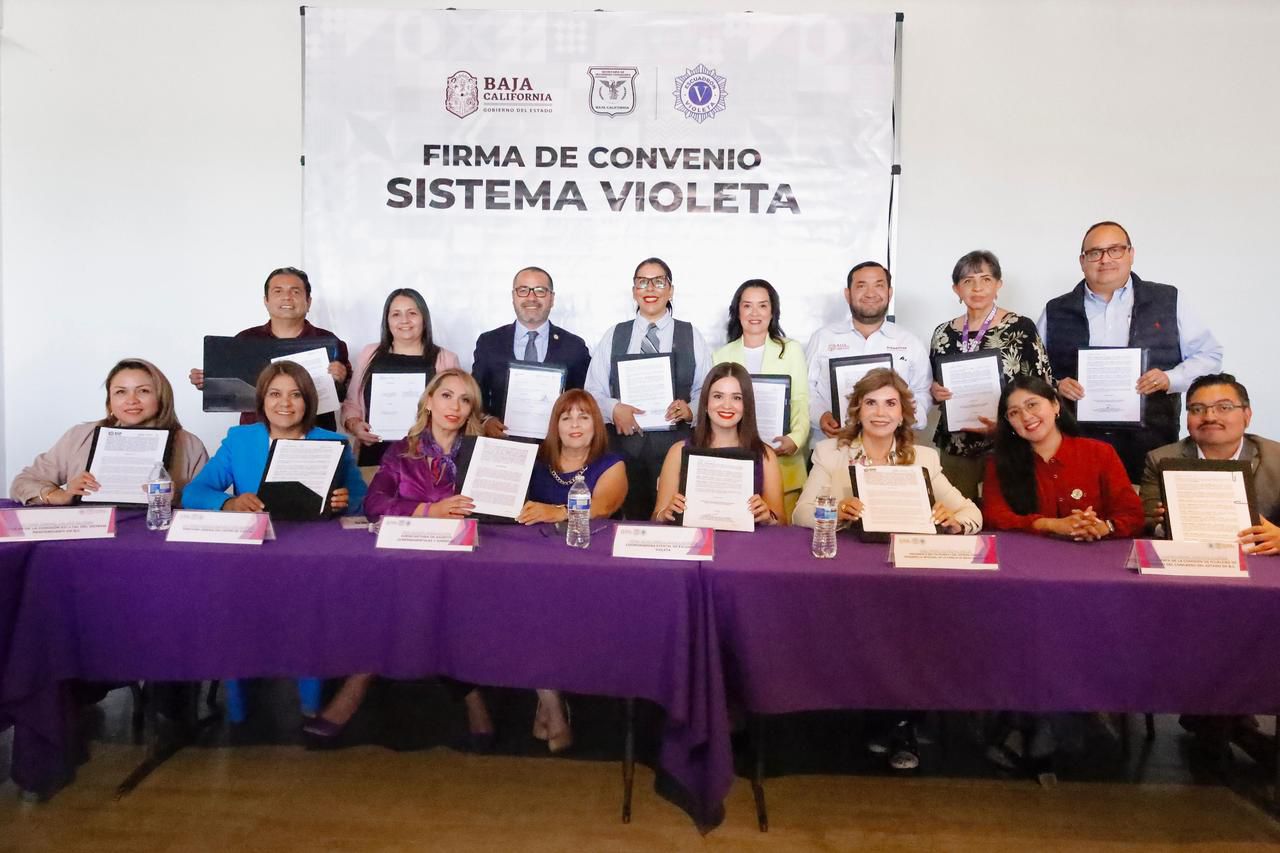 WhatsApp Image 2025-05-16 at 8.00.03 PM