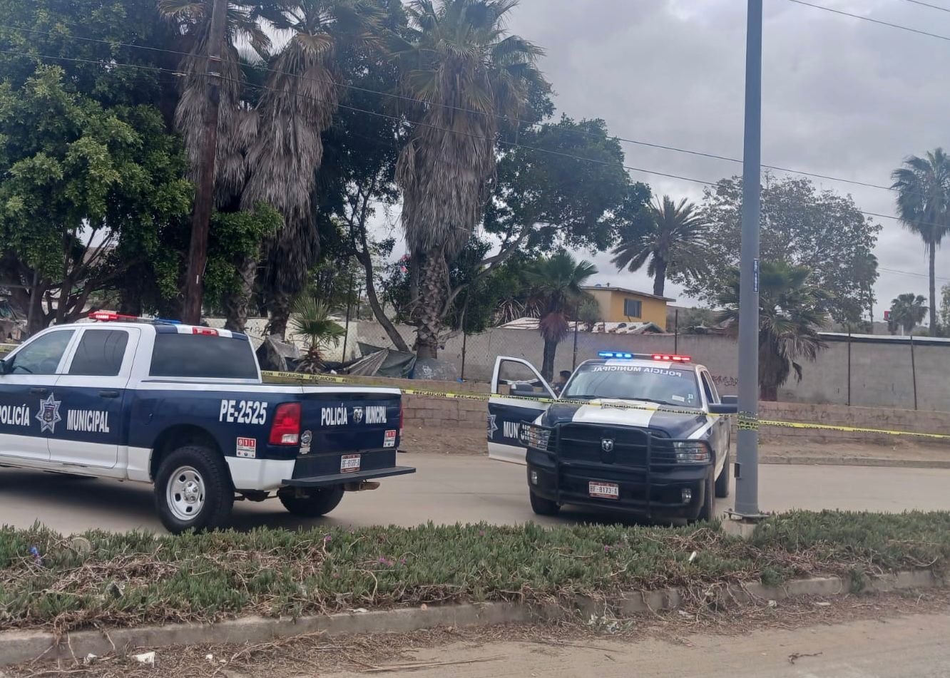 WhatsApp Image 2025-05-18 at 10.49.55 AM