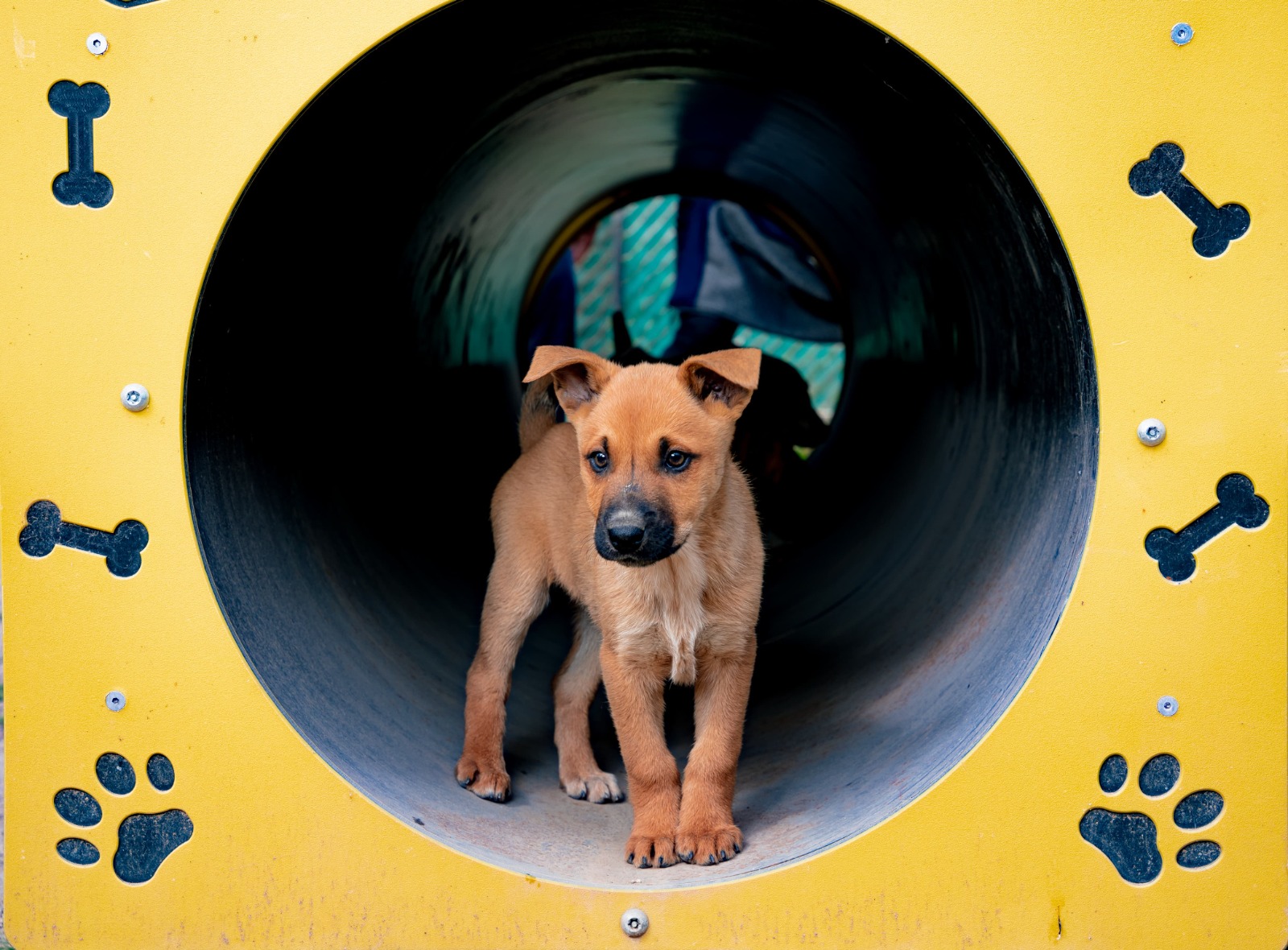 WhatsApp Image 2025-05-23 at 3.35.32 PM (1)