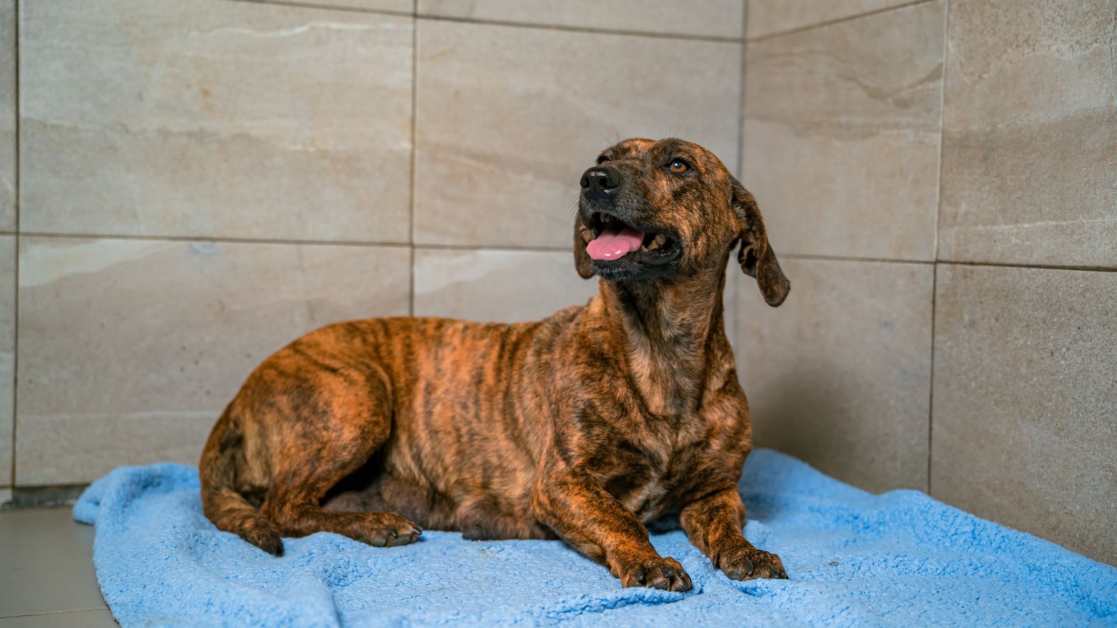 WhatsApp Image 2025-05-25 at 10.11.05 AM (1)