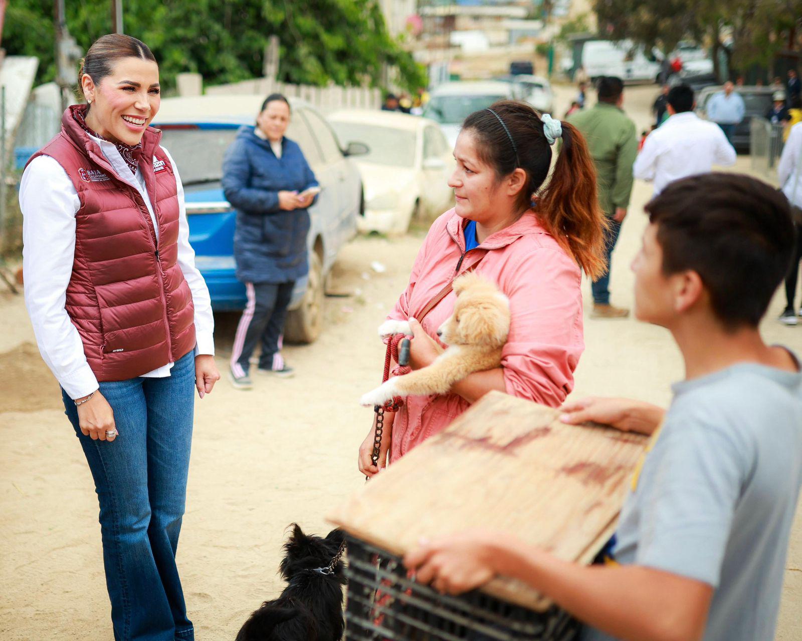 WhatsApp Image 2025-05-29 at 6.25.57 PM