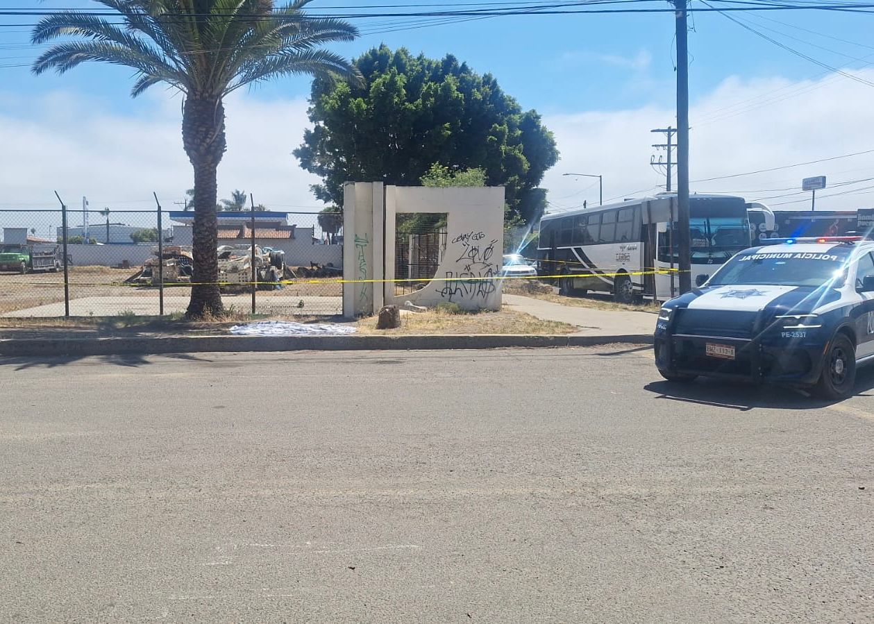 WhatsApp Image 2025-06-02 at 3.19.50 PM (2)