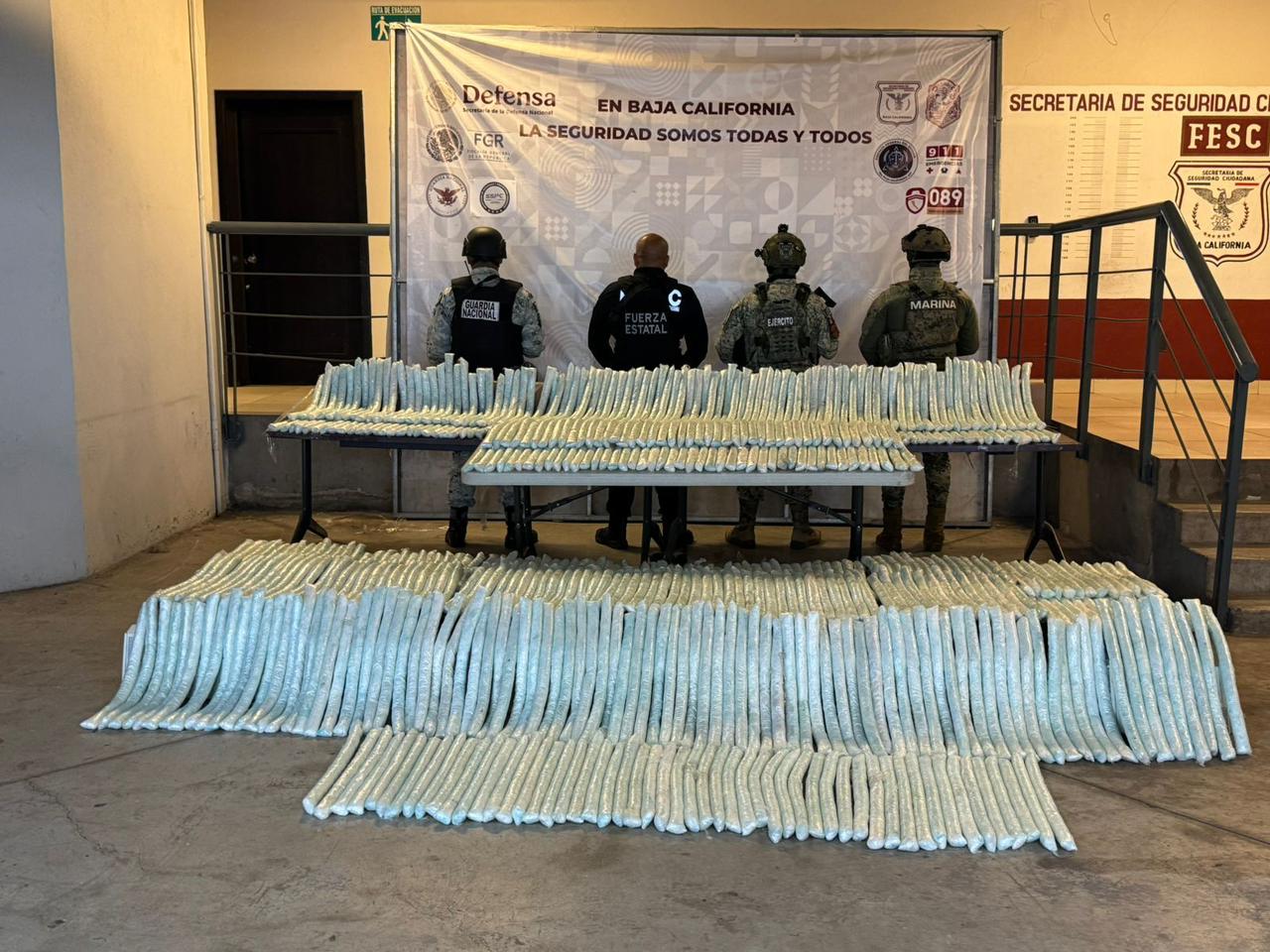 WhatsApp Image 2025-06-06 at 5.36.40 PM