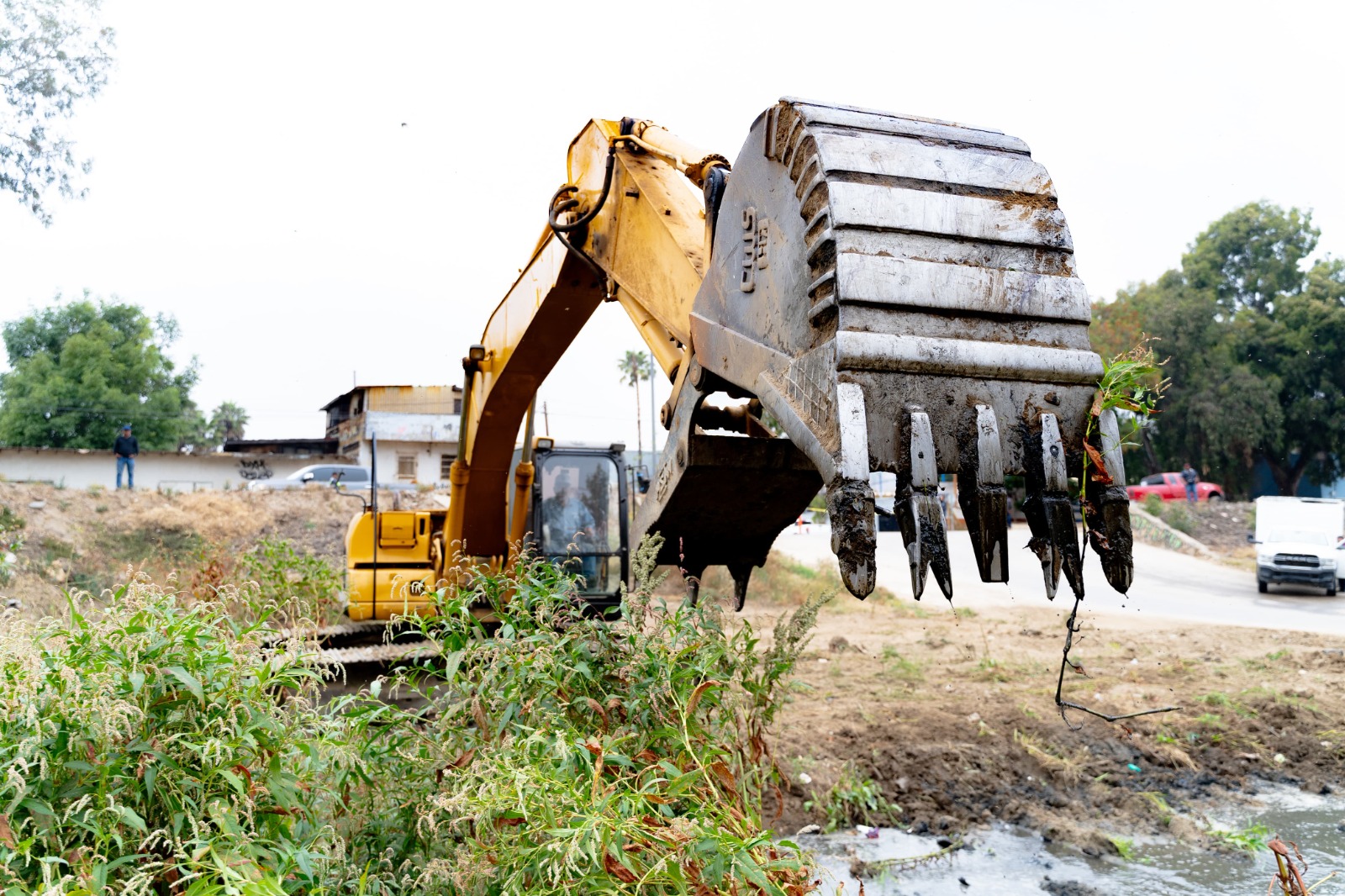 WhatsApp Image 2025-06-10 at 11.40.45 AM