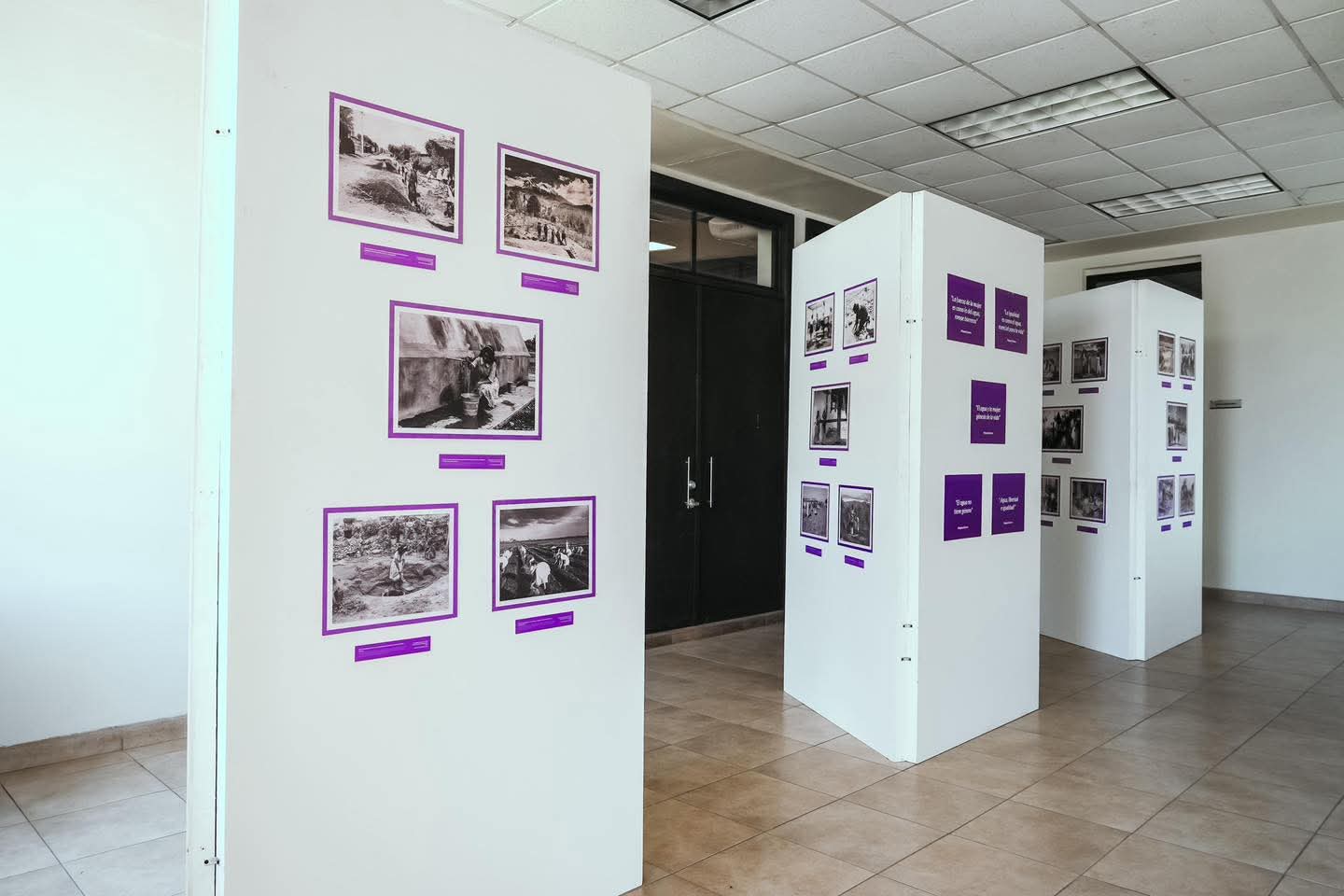 WhatsApp Image 2025-06-11 at 12.33.16 PM