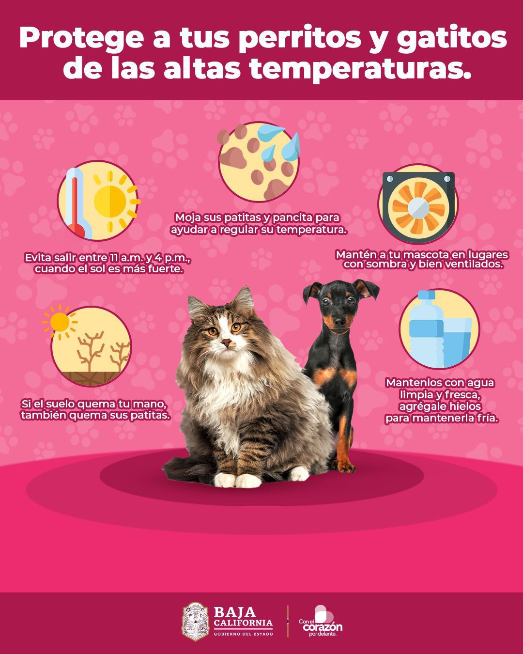 WhatsApp Image 2025-06-18 at 6.06.32 PM