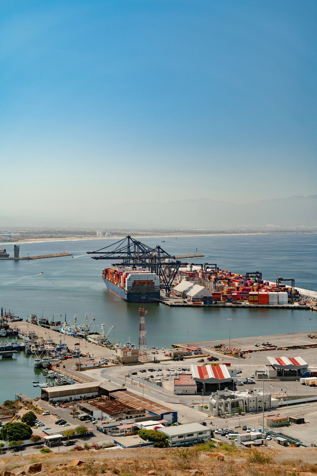 WhatsApp Image 2025-06-21 at 12.39.58 PM