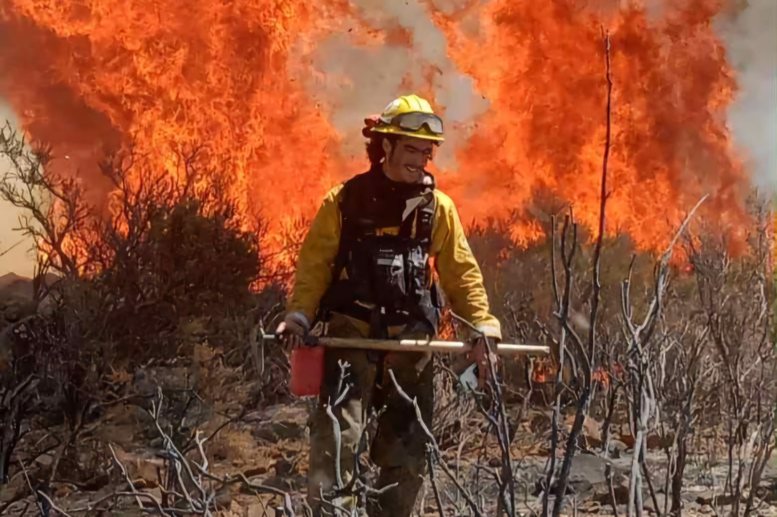 WhatsApp Image 2025-06-22 at 9.50.29 AM