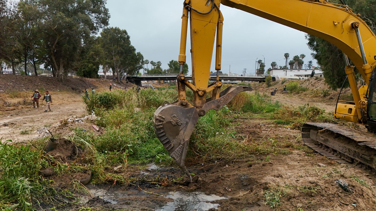 WhatsApp Image 2025-06-23 at 3.15.27 PM