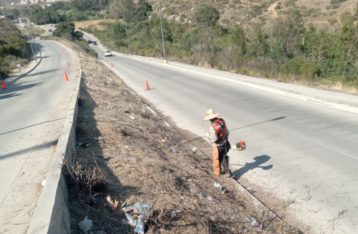 WhatsApp Image 2025-06-25 at 11.07.43 AM