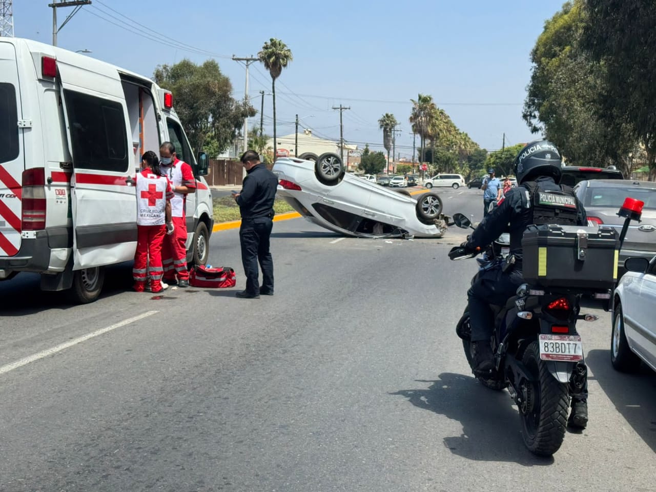 WhatsApp Image 2025-06-28 at 1.03.48 PM