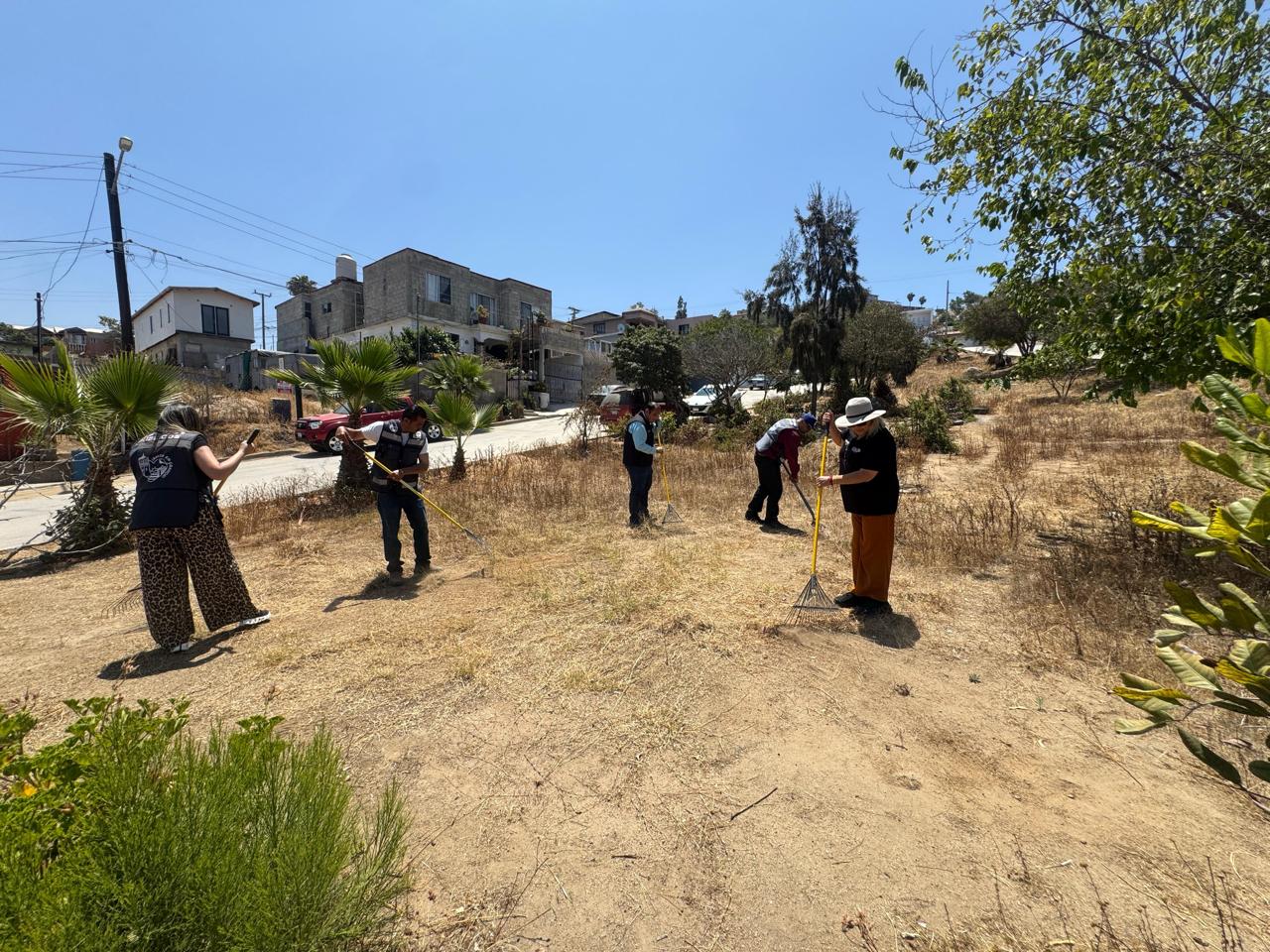 WhatsApp Image 2025-07-02 at 4.57.03 PM (2)