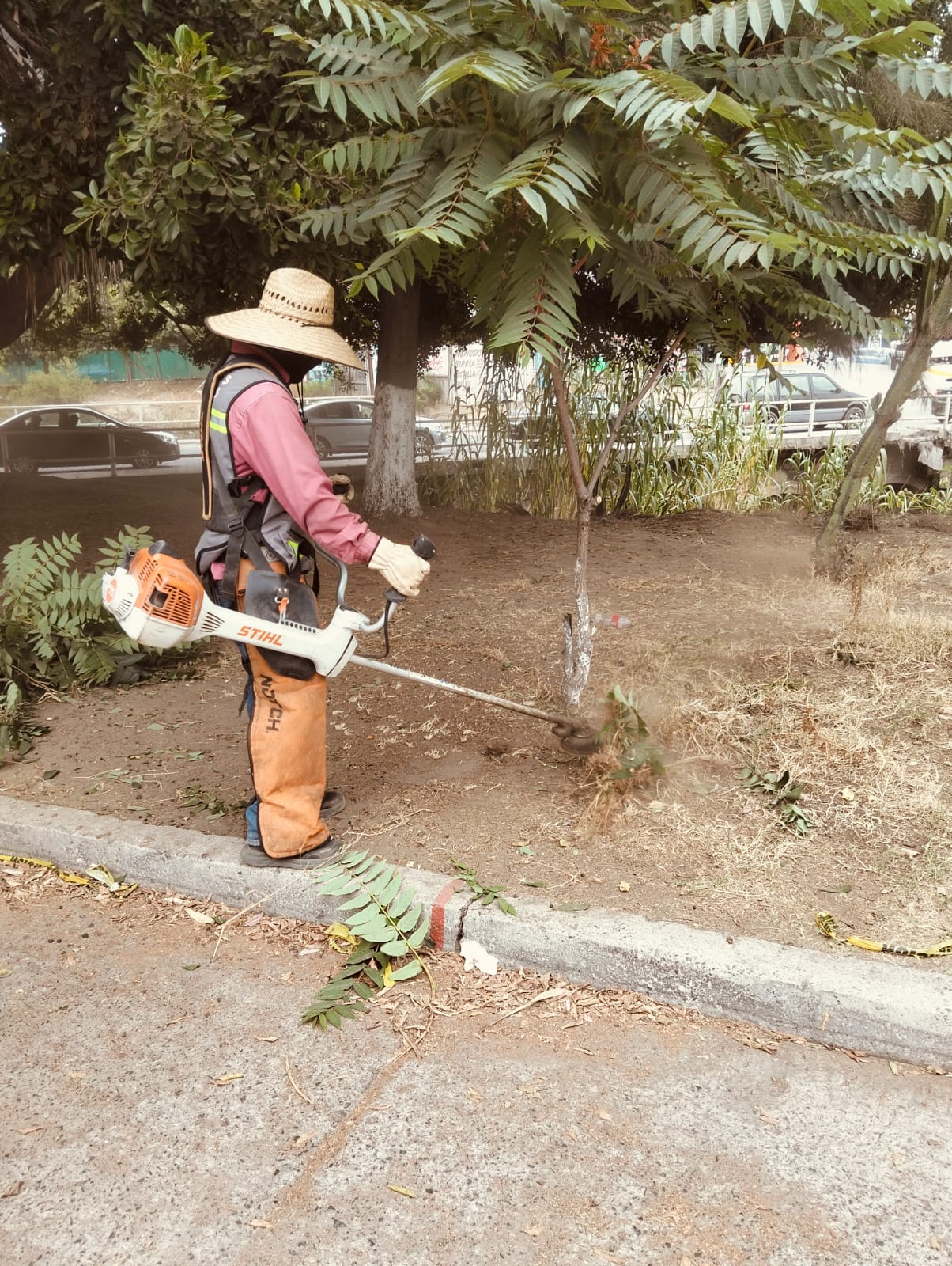 WhatsApp Image 2025-07-03 at 5.32.29 PM