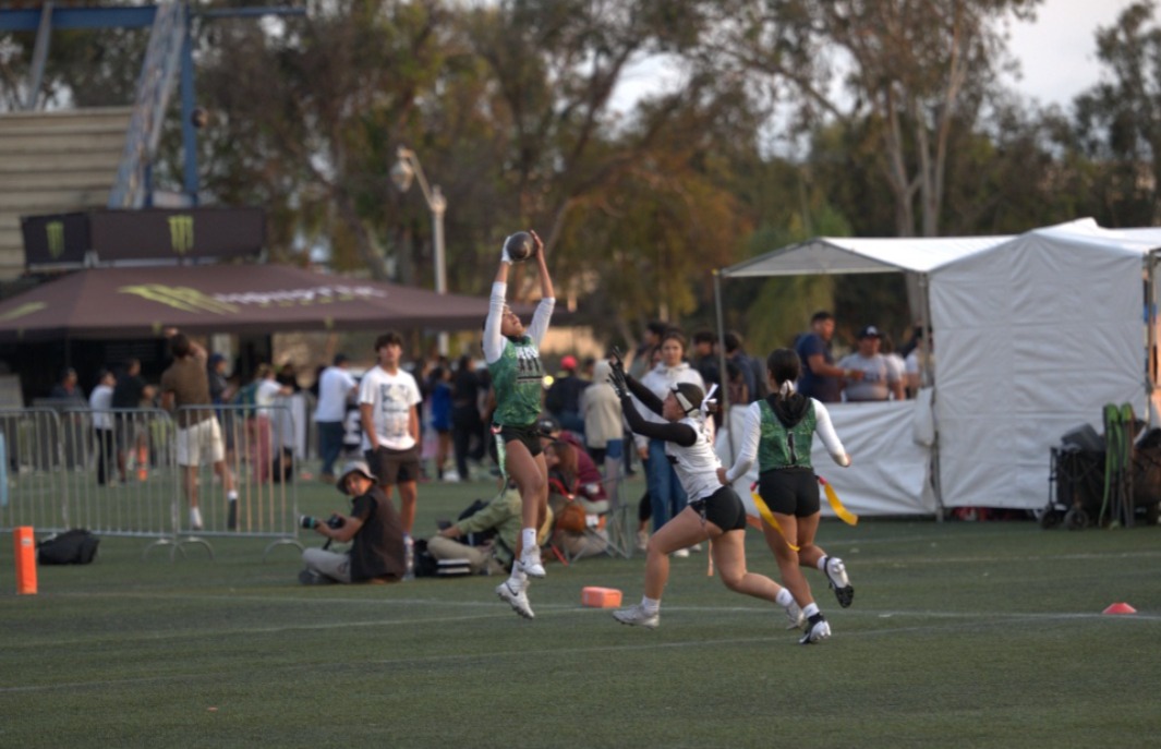 WhatsApp Image 2025-07-04 at 7.41.55 PM