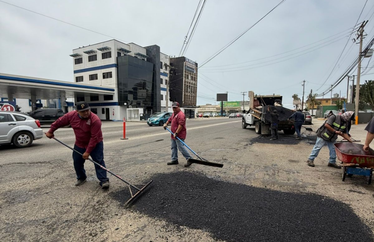 WhatsApp Image 2025-07-14 at 1.04.25 PM